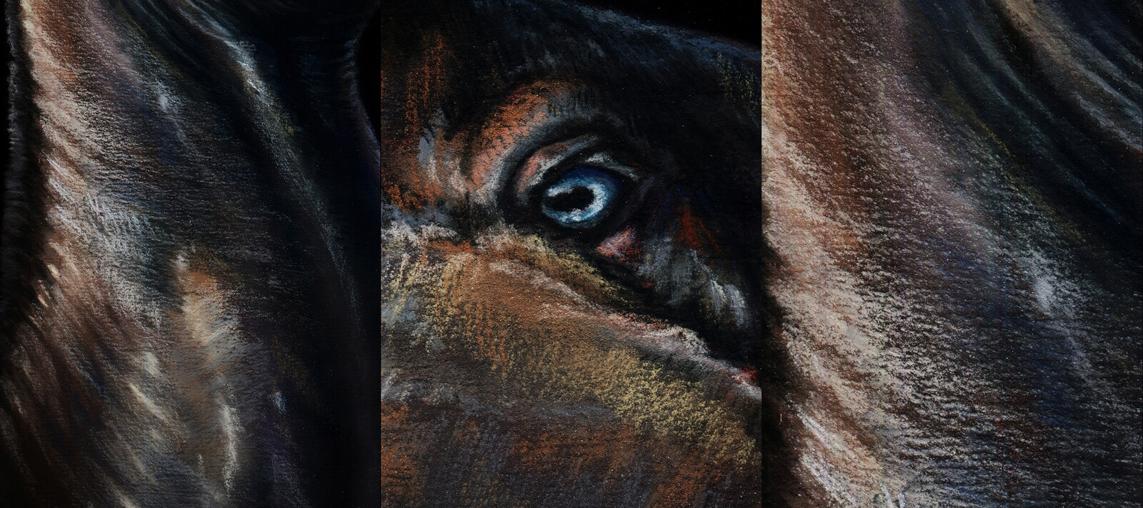 Black Gold, the details.