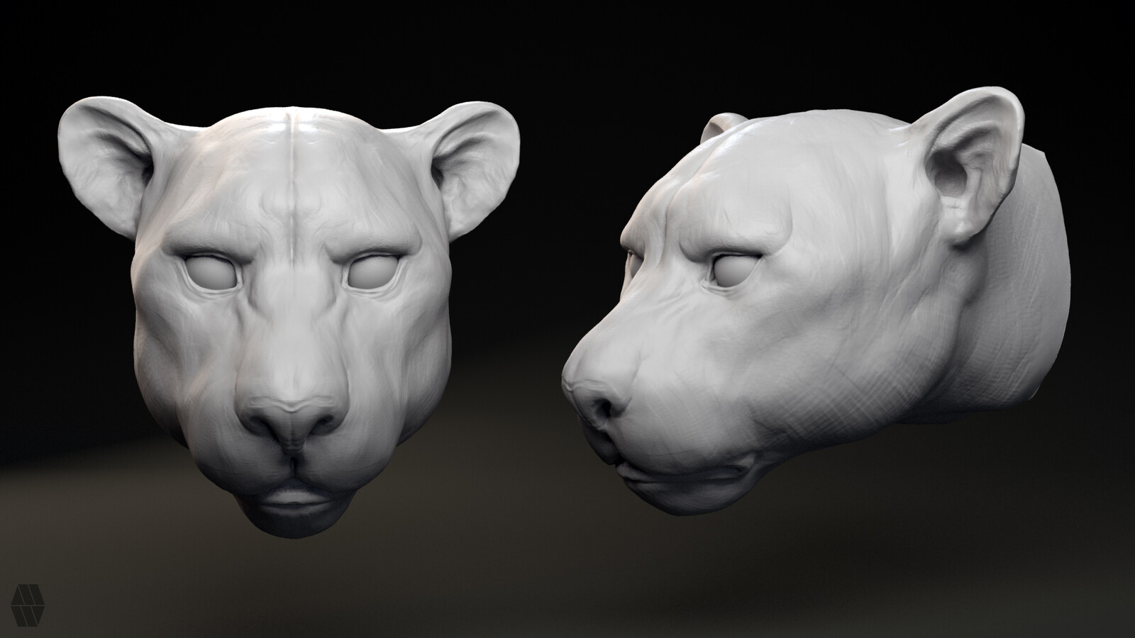 Initial Quick Sculpt Zbrush (1hour 10min)