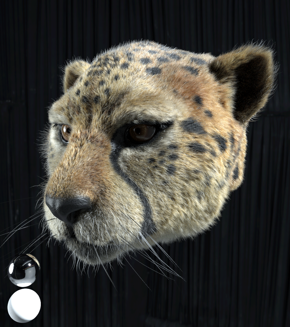 GIF HDRI Studio Lit Turntable 