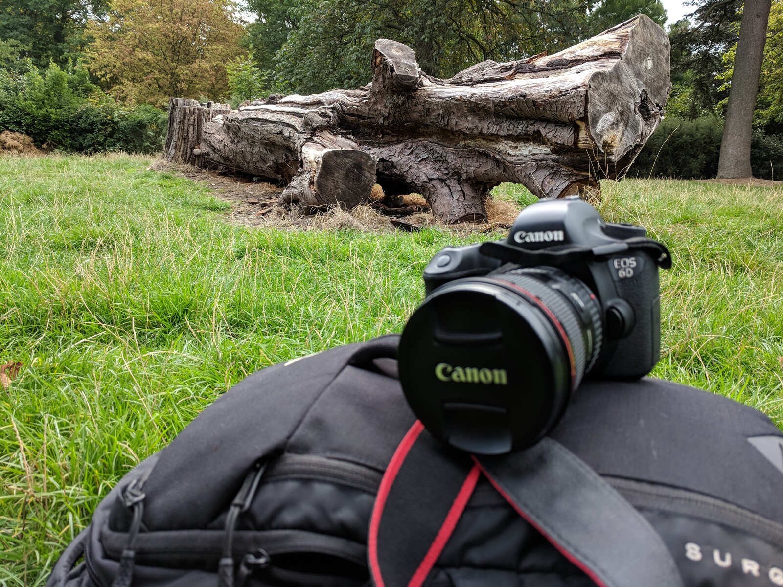 Camera used to capture photos