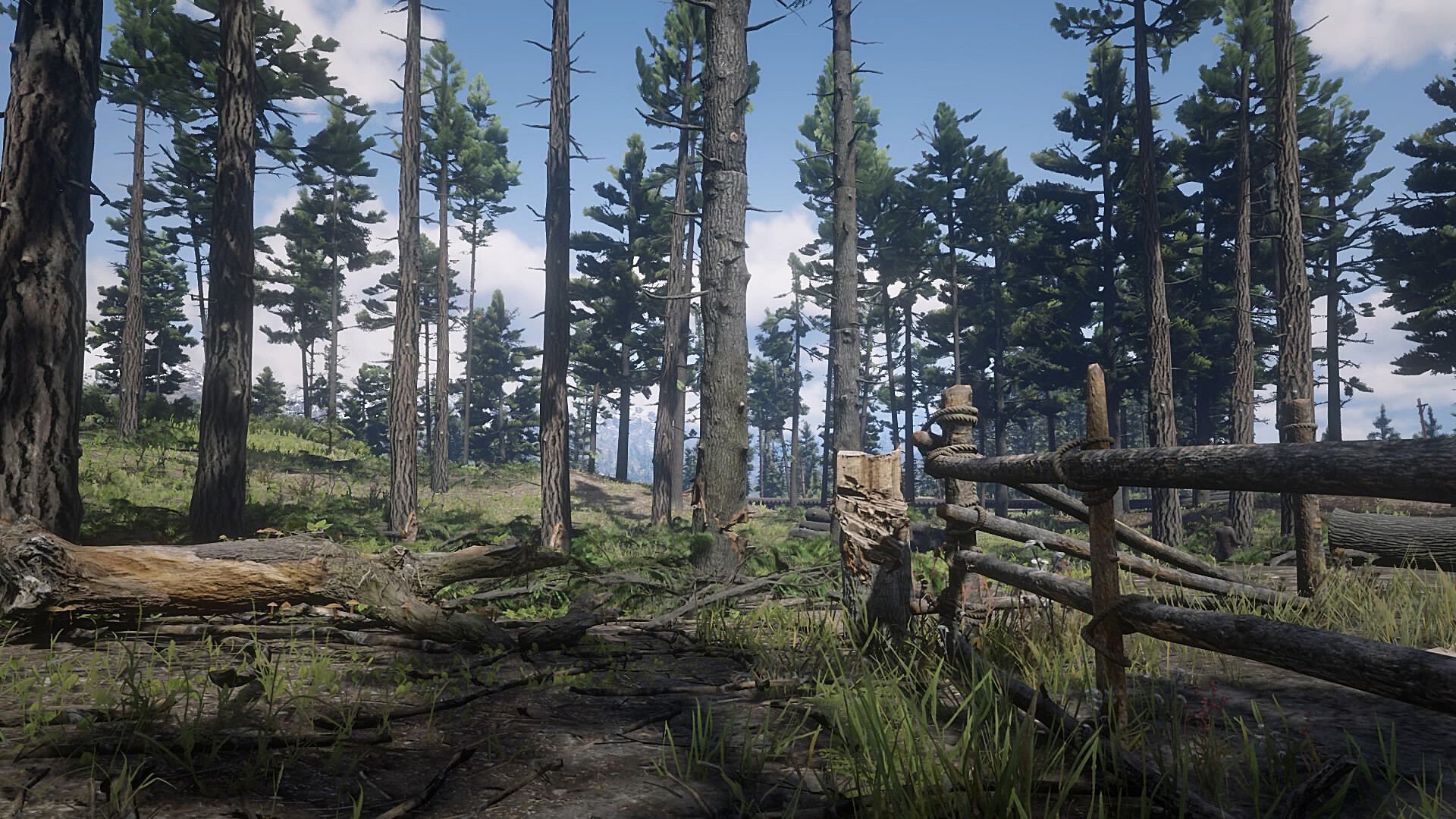 Artstation Red Dead Redemption 2 Trees Patrick Clark