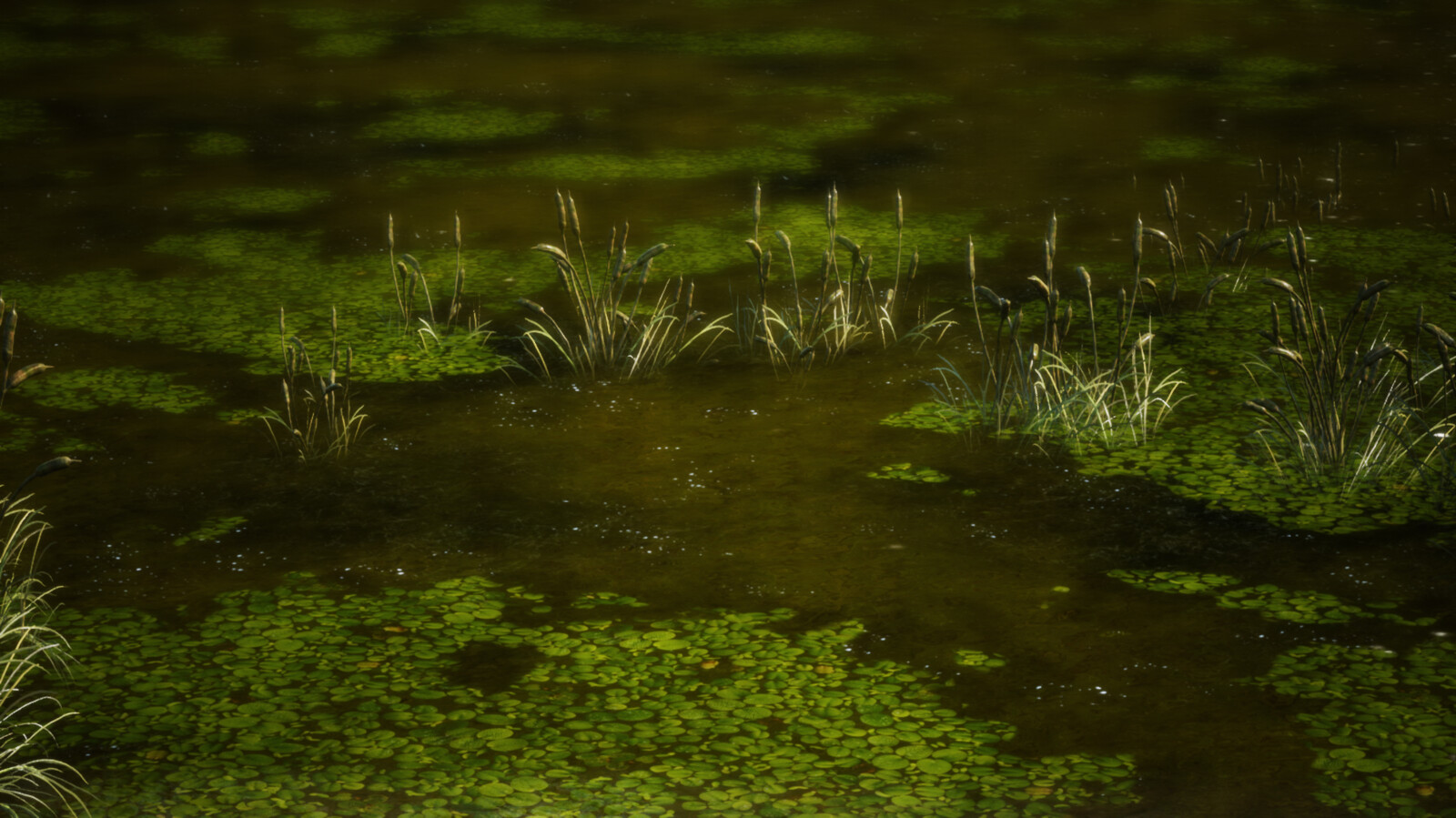 Swamp of love. Озеро манчак. Swamp of love. Swamp of love. Бассейн атчафалайя в луизиане.