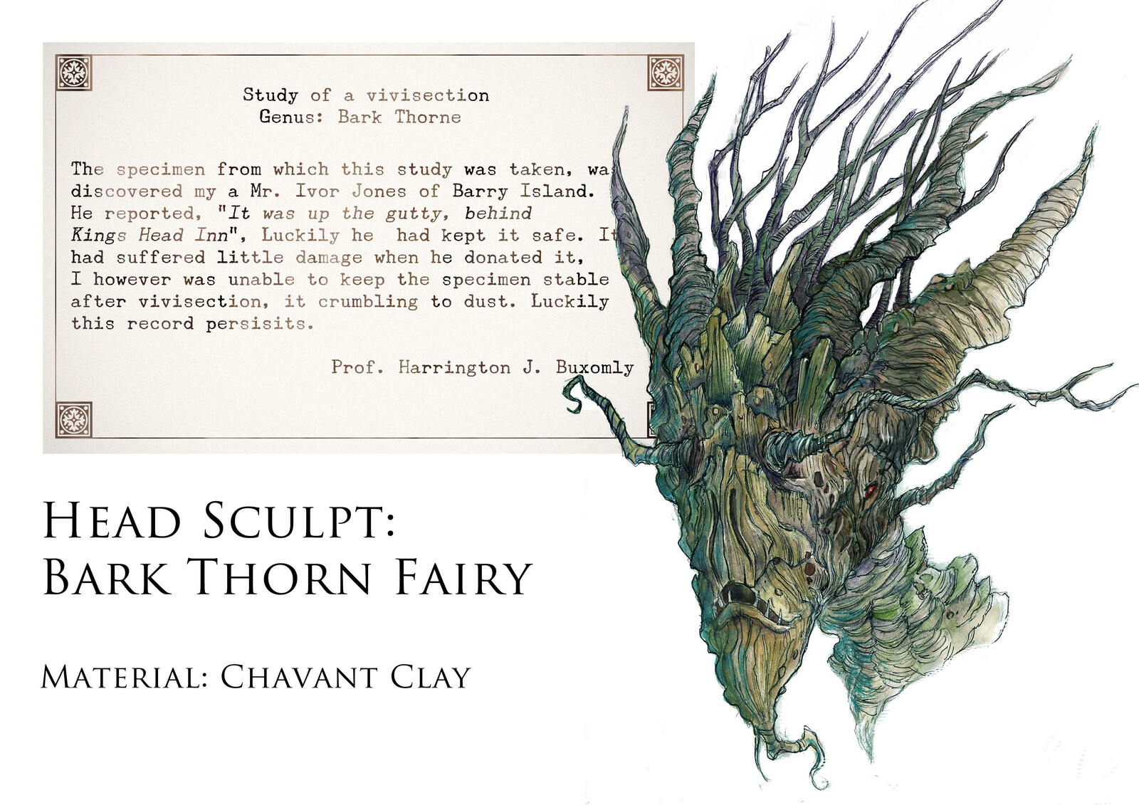 Bark Thorn fairy head study
