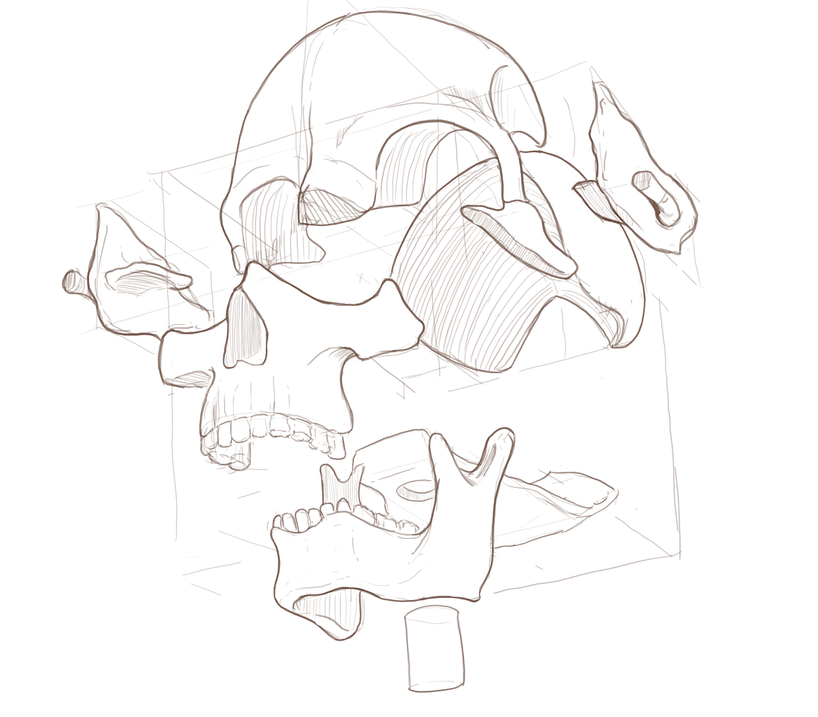 Exploded Skull2