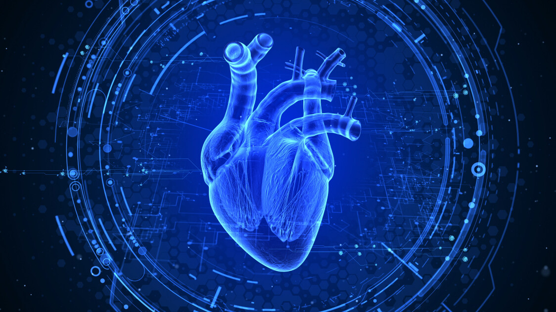 Artstation Beating Human Heart Xray Infographics Alex Volkov
