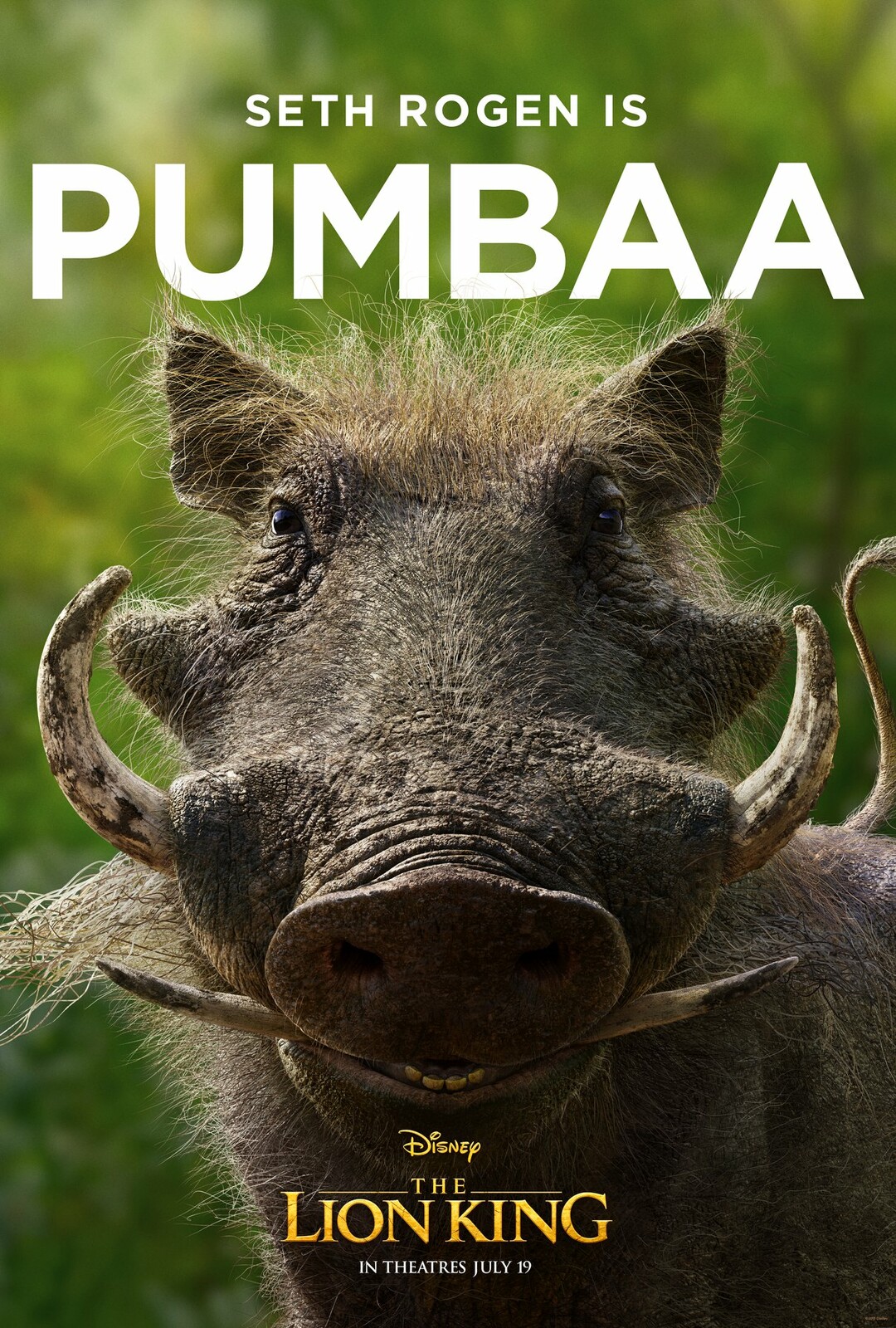 Pumba Character Model and Sculpt