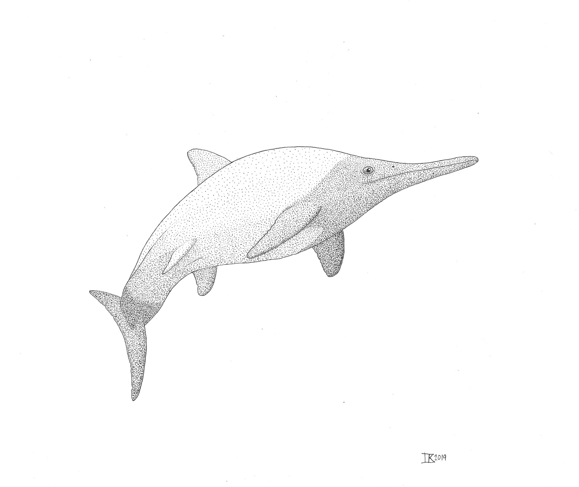 ArtStation Stenopterygius