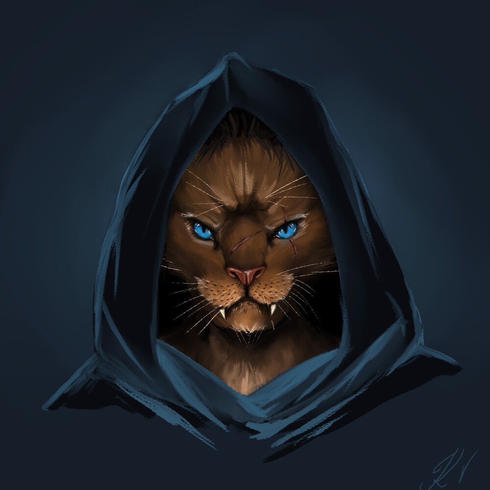 Маленькие арты котов в капюшоне