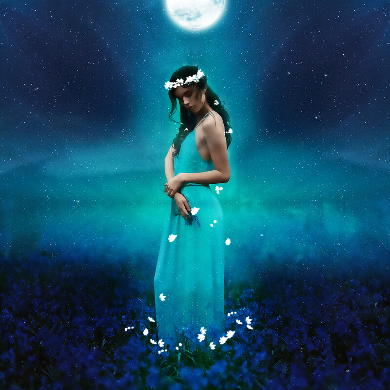 Midnight Nymph