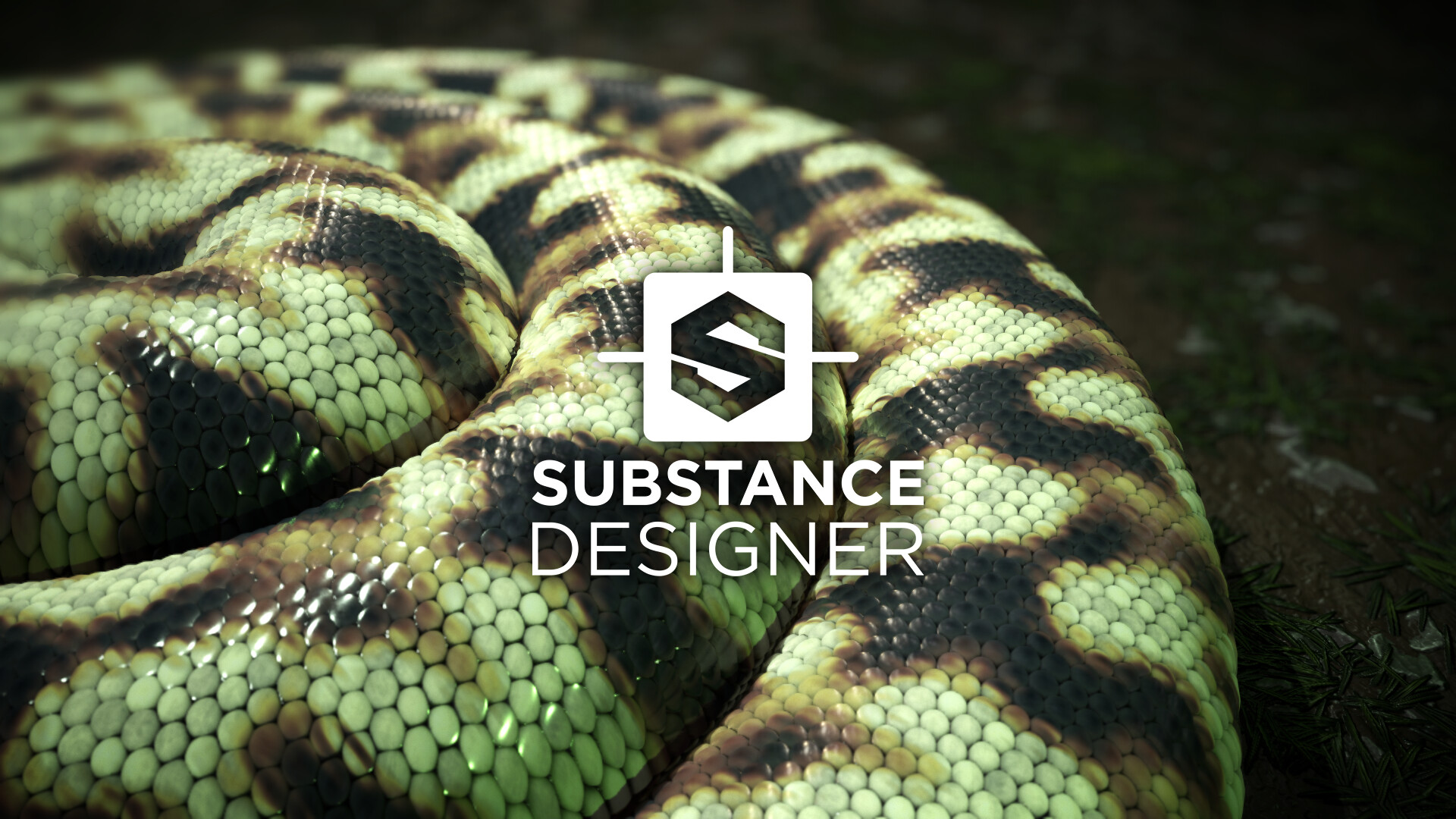 snake skin