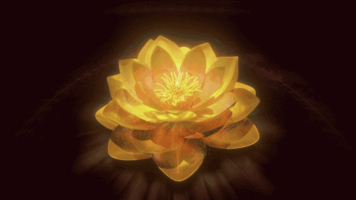 🏵️  Sacred Lotus  🏵️
