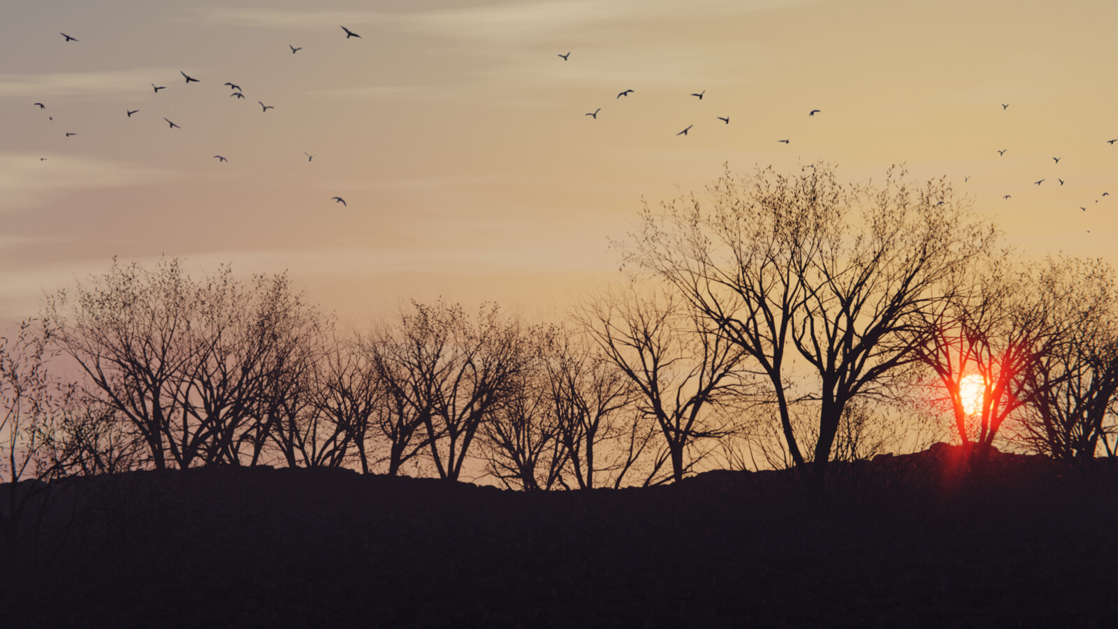 Procedural Sky - Sunset