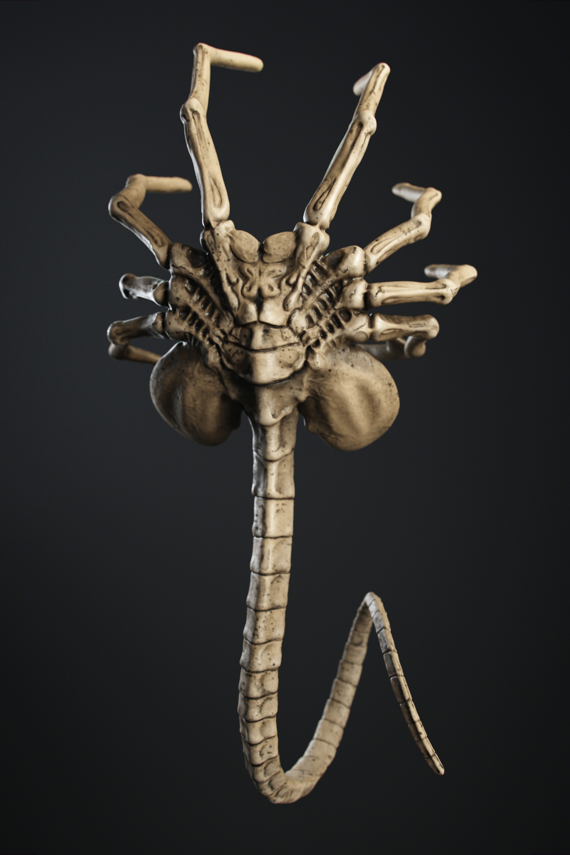 The facehugger.