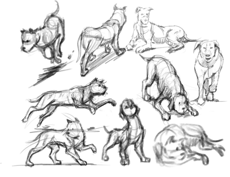 easy gesture drawing animals