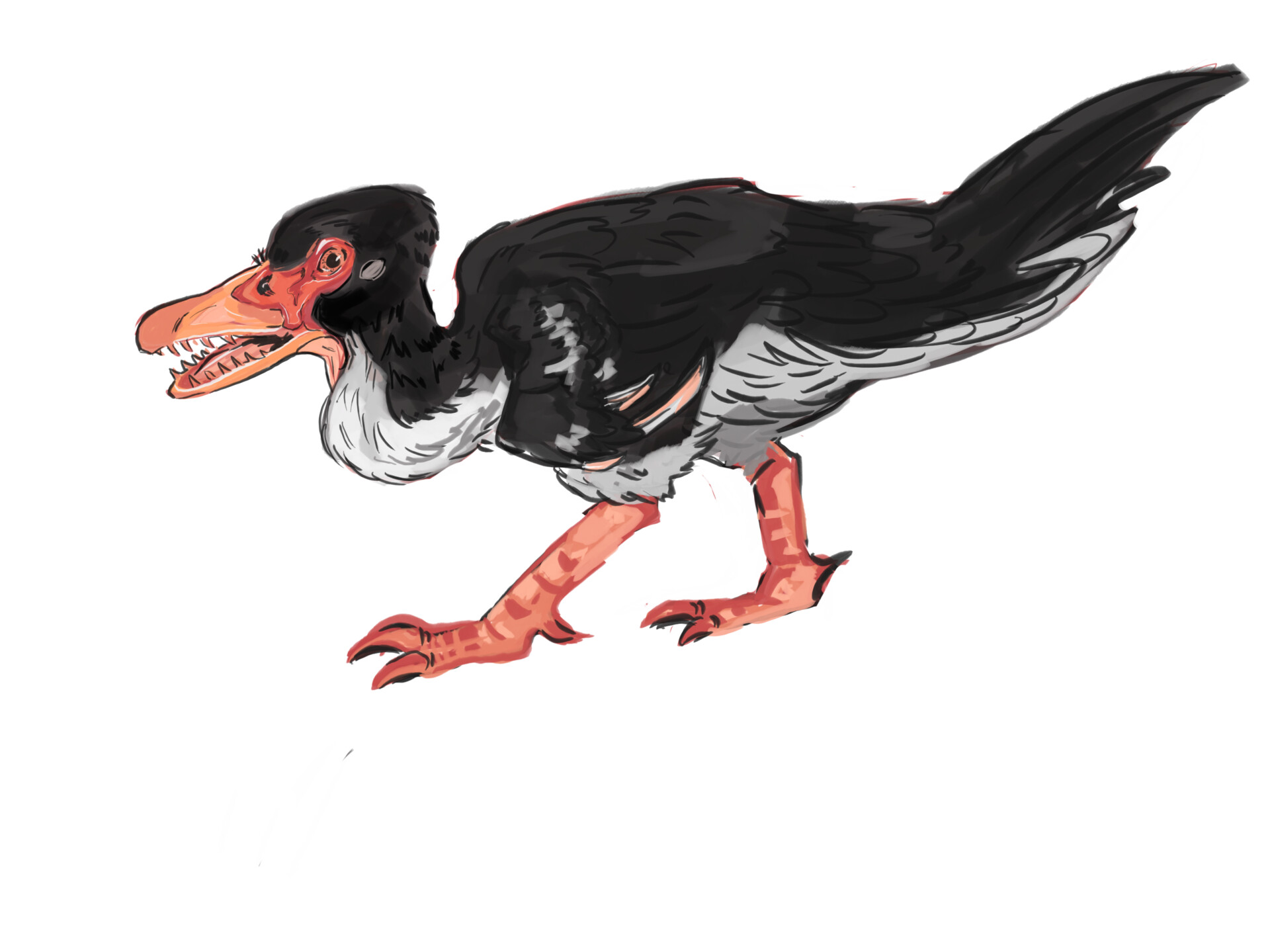 ArtStation Creature sketches speculative zoology