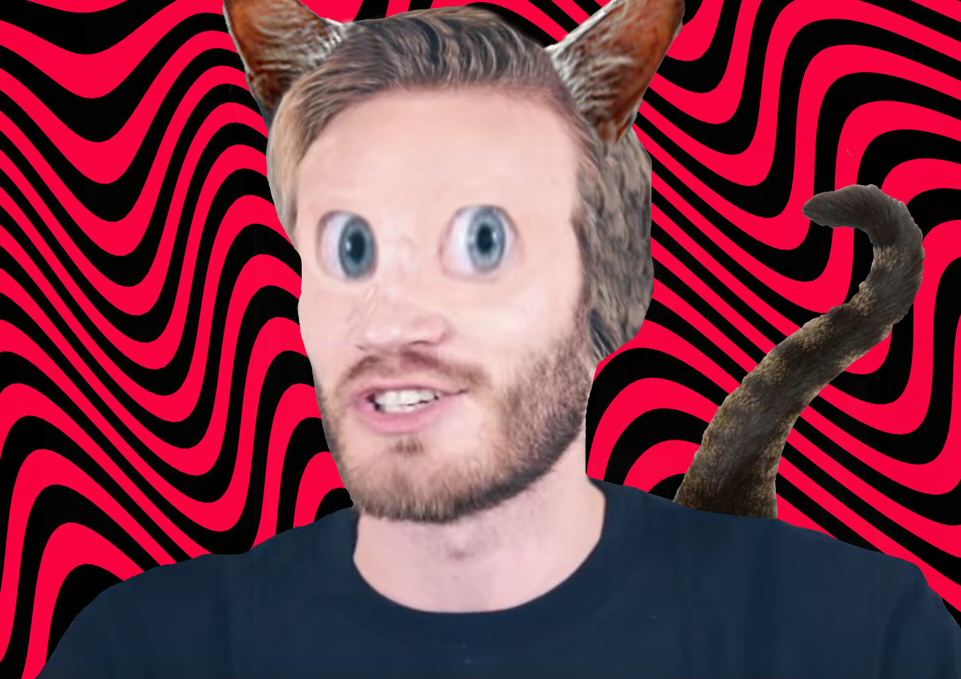 Pewdiepie cat clearance