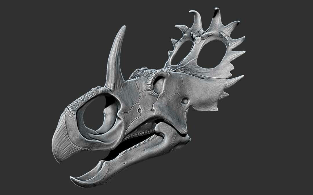 beasts of the mesozoic sinoceratops