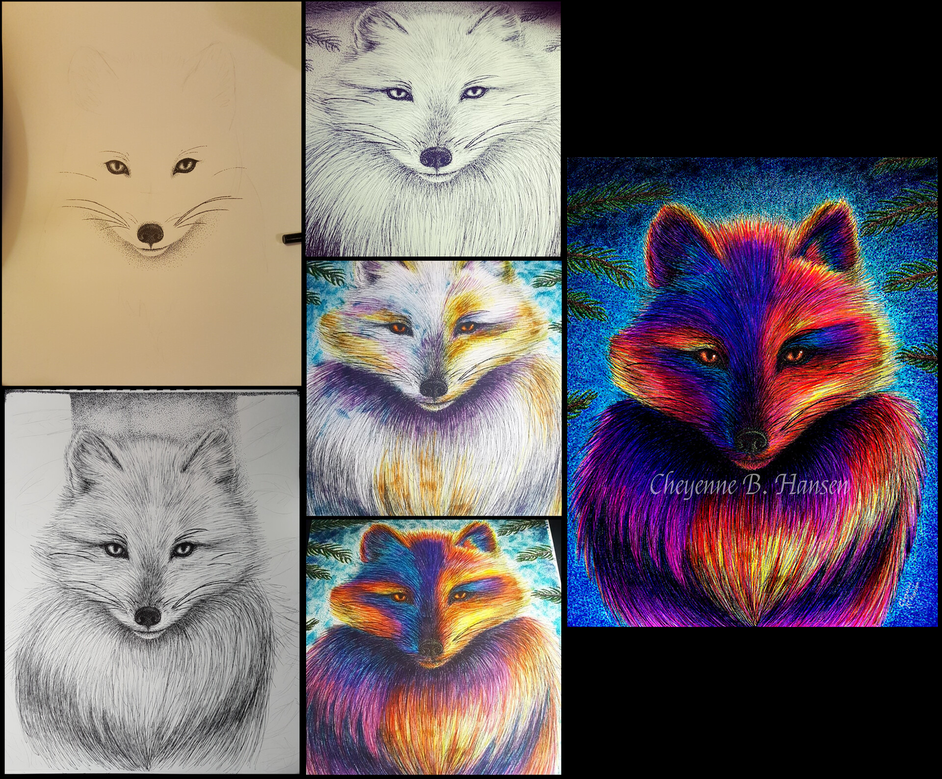 Cheyenne Hansen - Arctic Fox Aurora