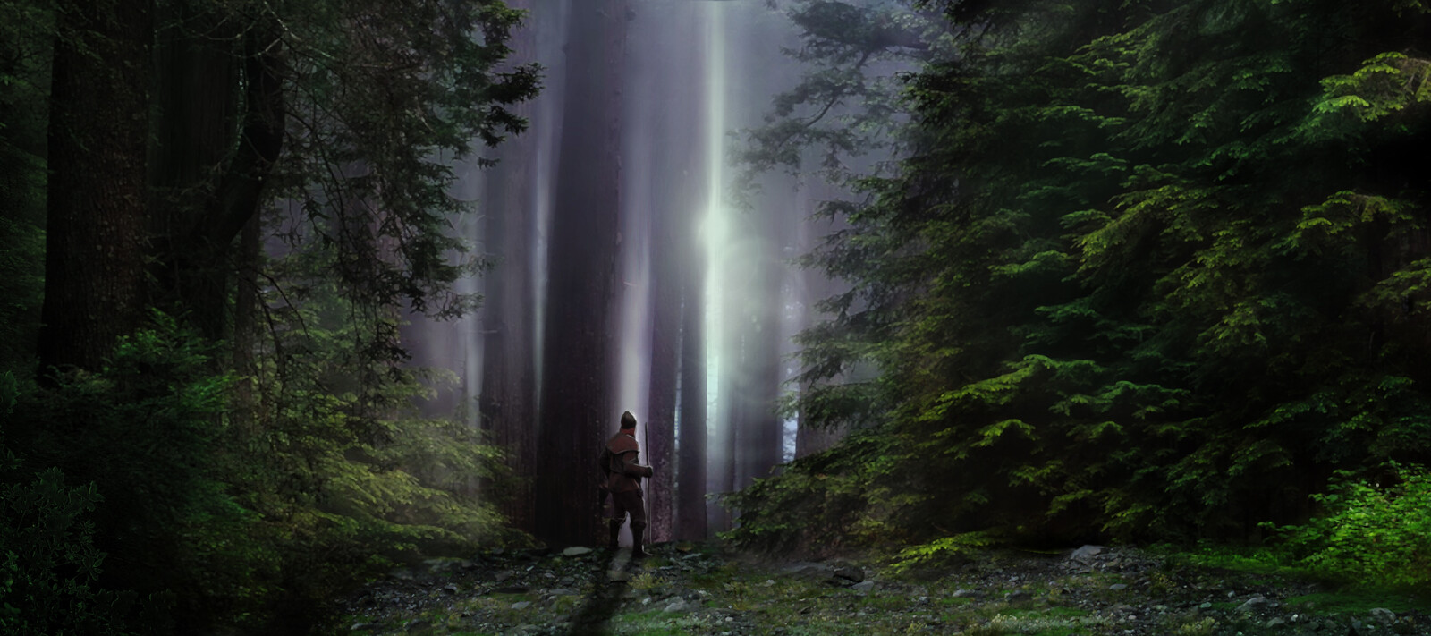 the woods