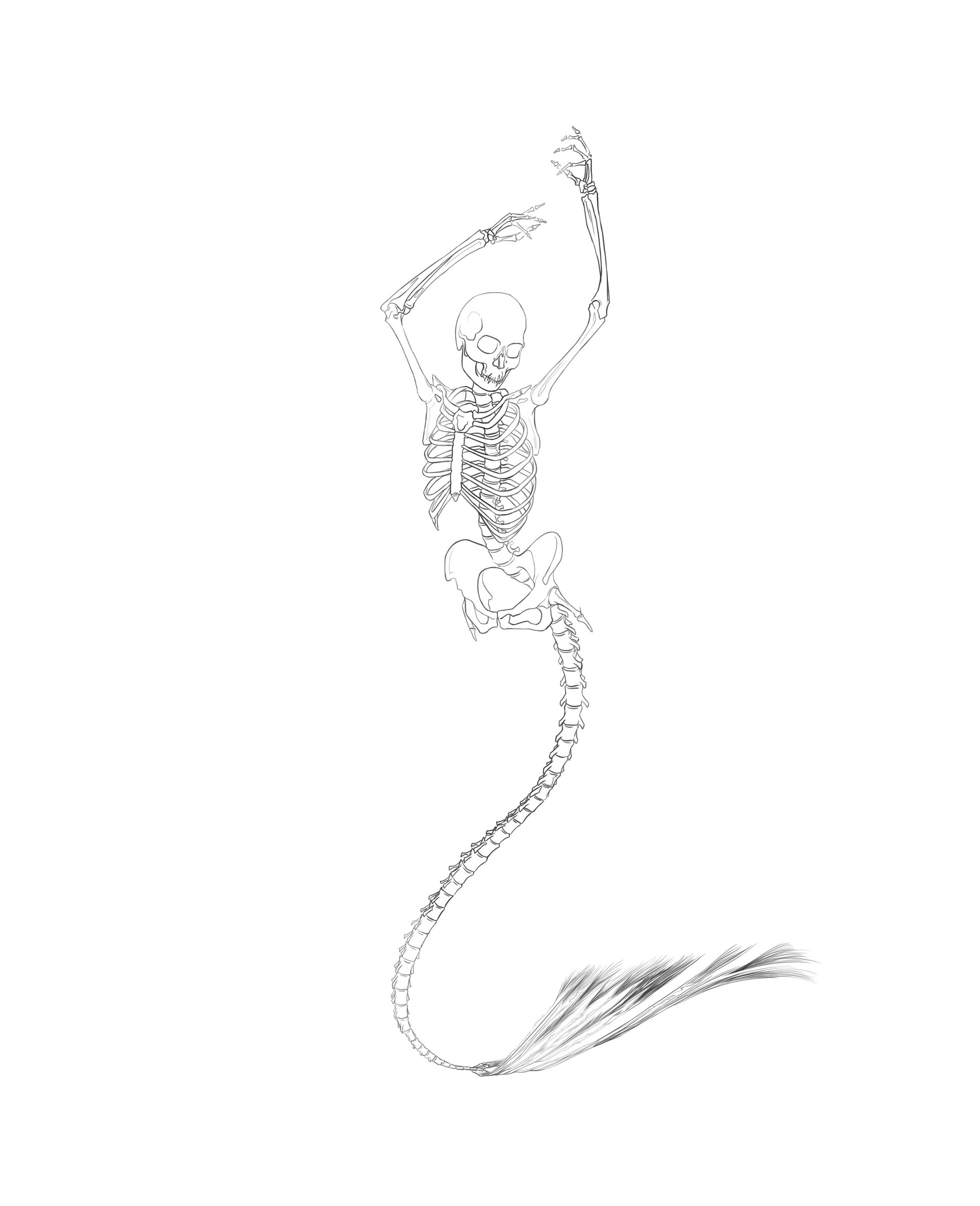 L A Patrikovna Line Art Skeleton Mermaid