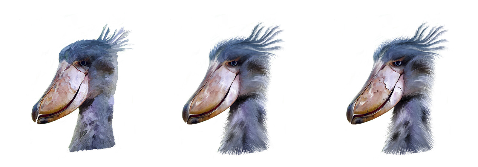 Shoebill Stork - Painting