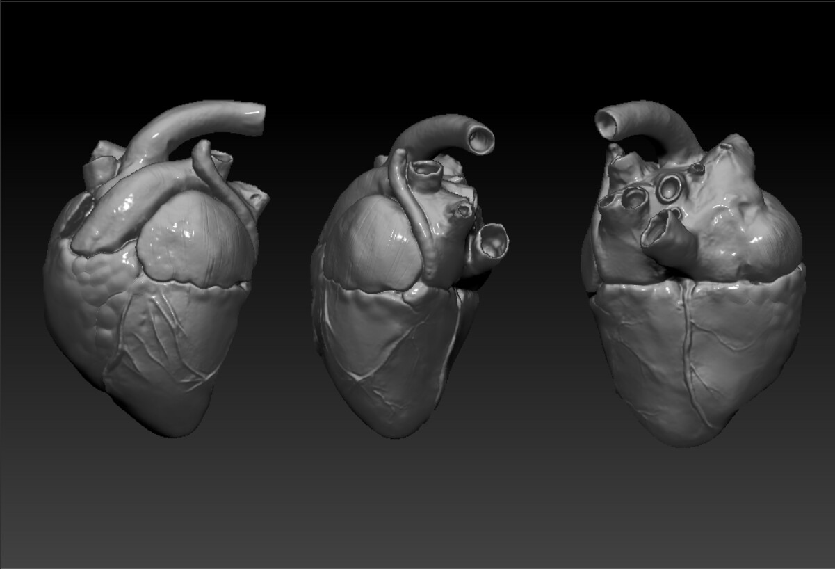 ZBrush highpoly model 