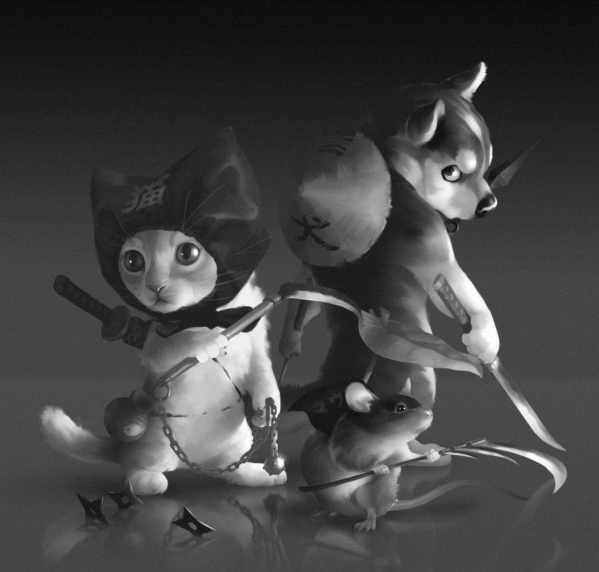 cat ninja yeet cat ninja yeet
