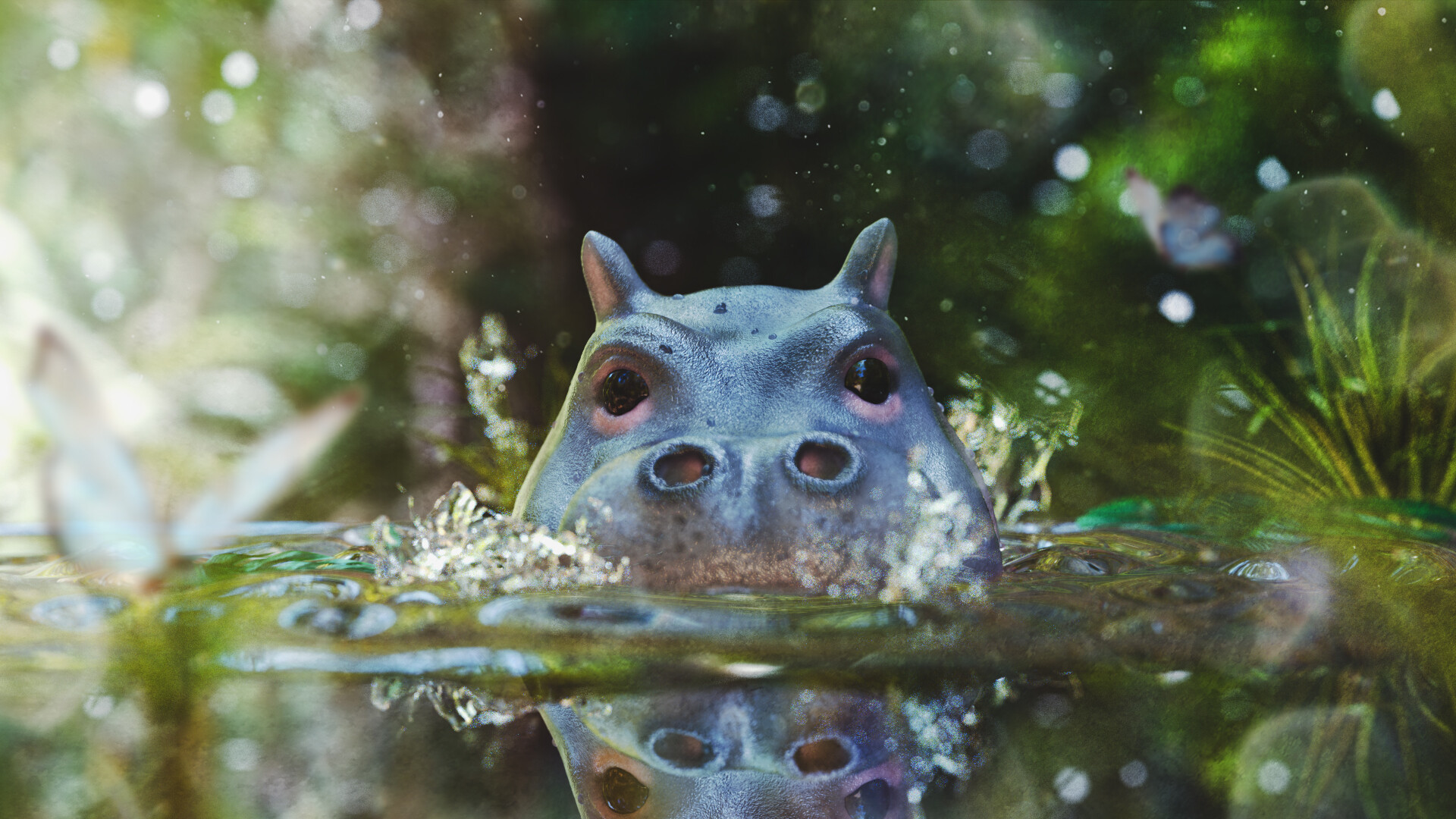 Baby Hippo having a swim!