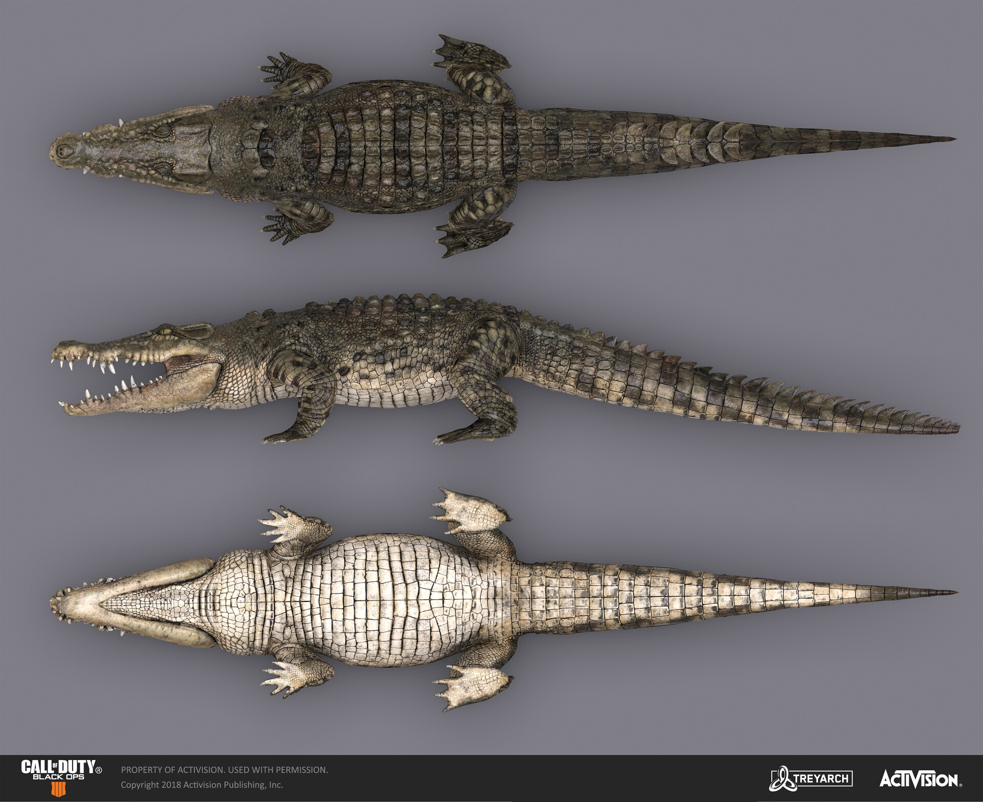 Artstation Saltwater Crocodile Call Of Duty Black Ops 4 18 Mike Curran Artstation Saltwater Crocodile Call Of Duty Black Ops 4 18 Mike Curran