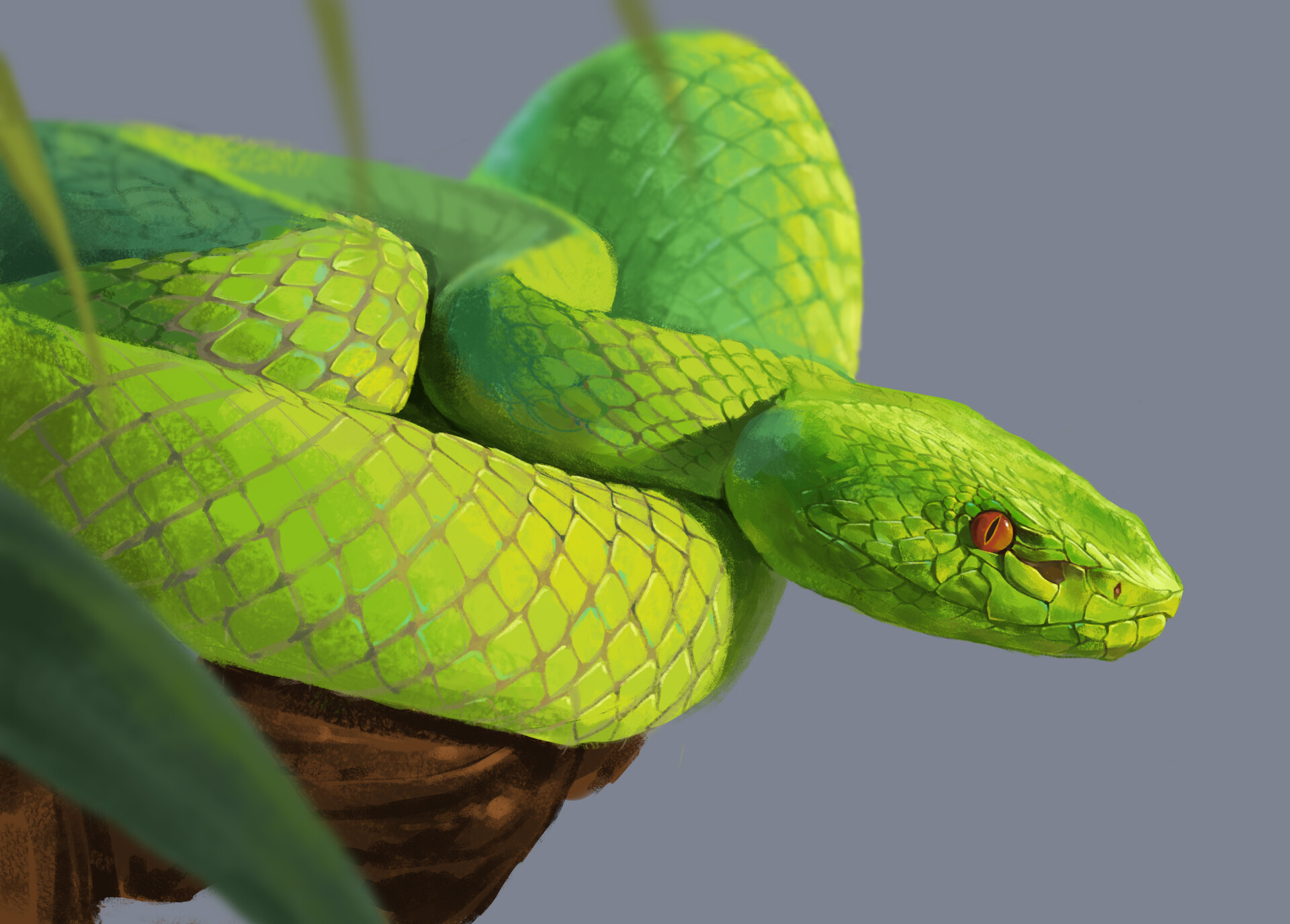 ArtStation - Practice - Green Python