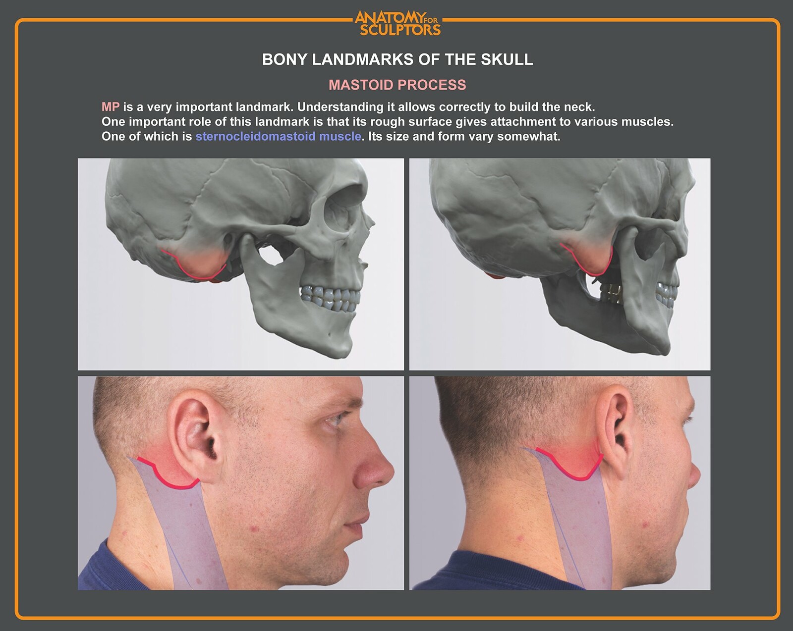 Mastoid process