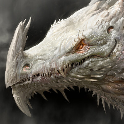 Antonio j manzanedo white dragon manzanedo