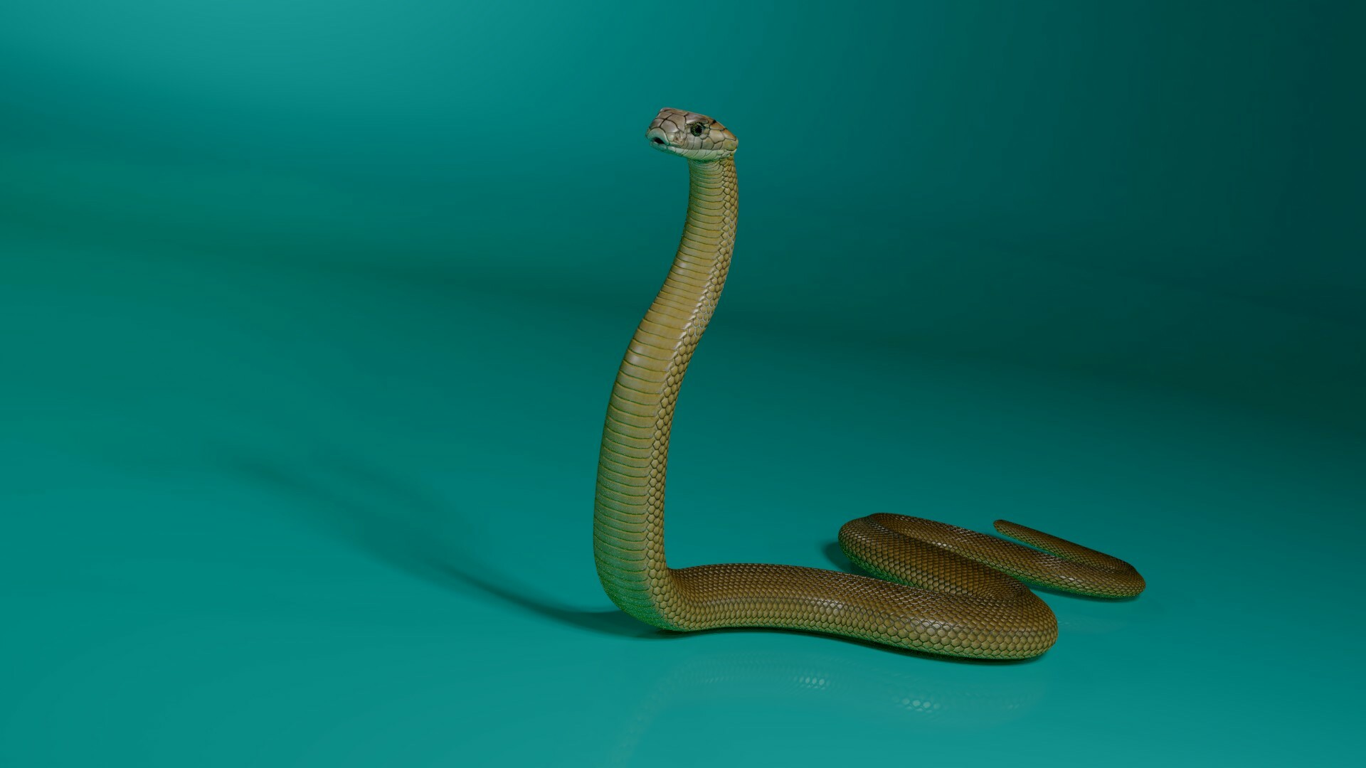 Artstation The 3d Model Of King Cobra Stephan Plotnicov