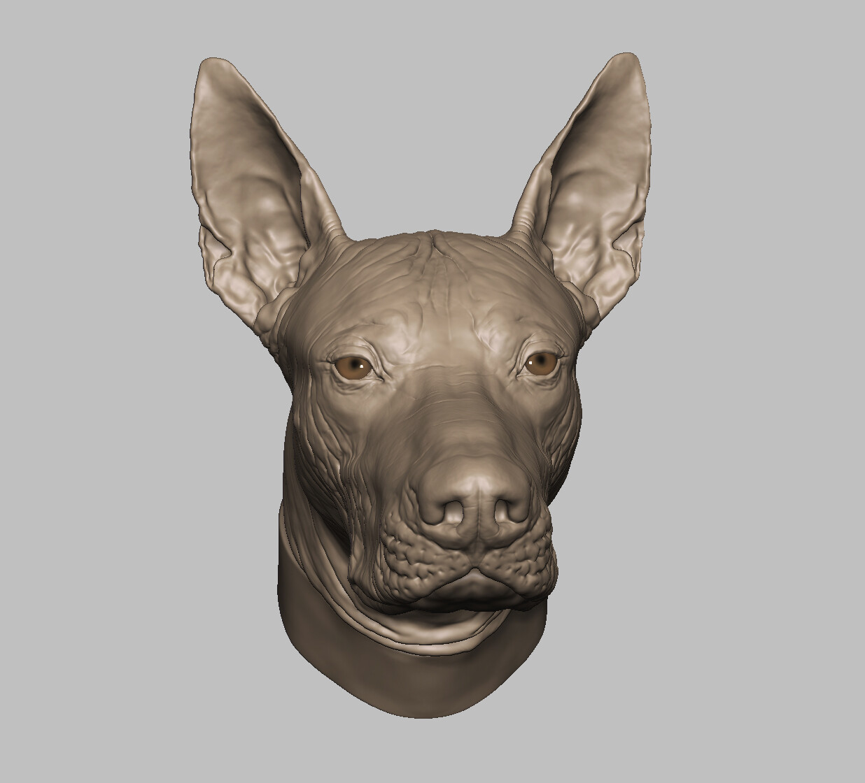 pin by jsotoluis on animals hairless dog mexican hairless dog anthro furry