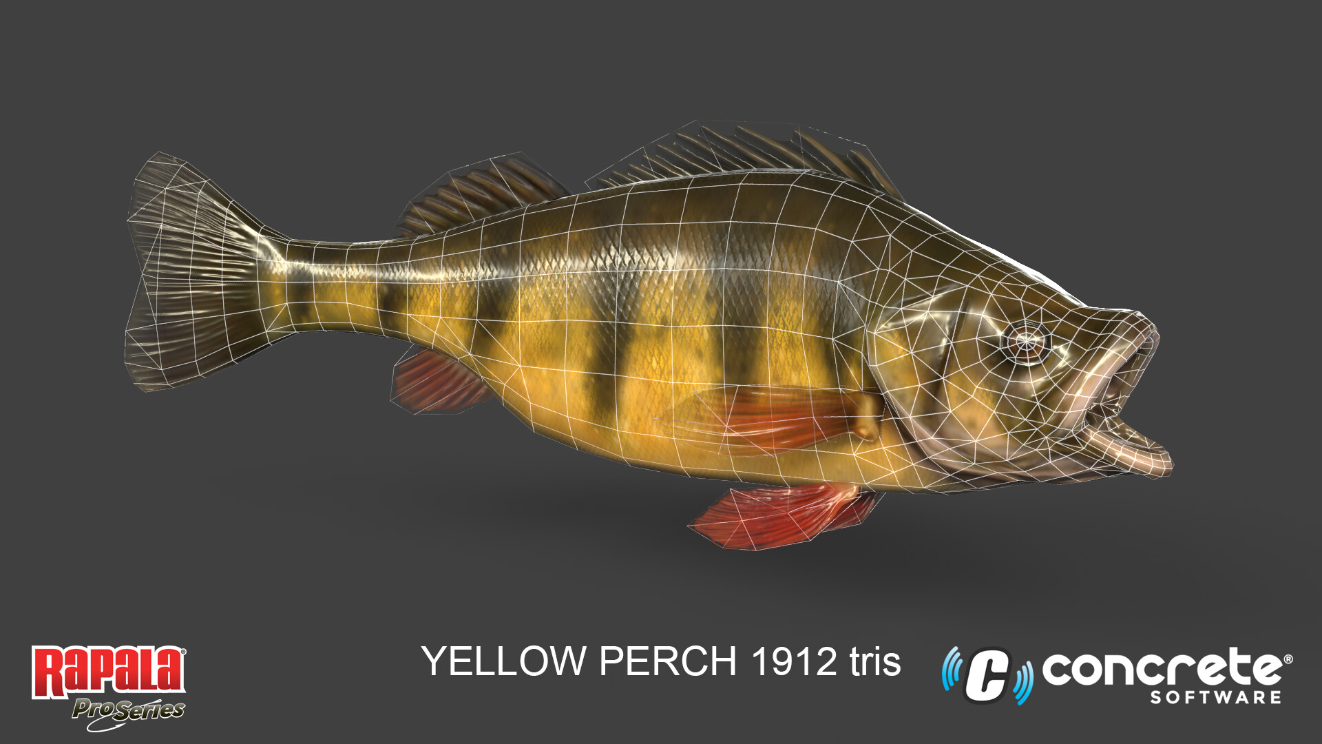 Jamie Dean - Rapala Fishing Pro Series Yellow Perch