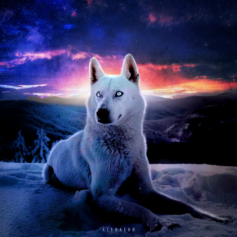White Wolf