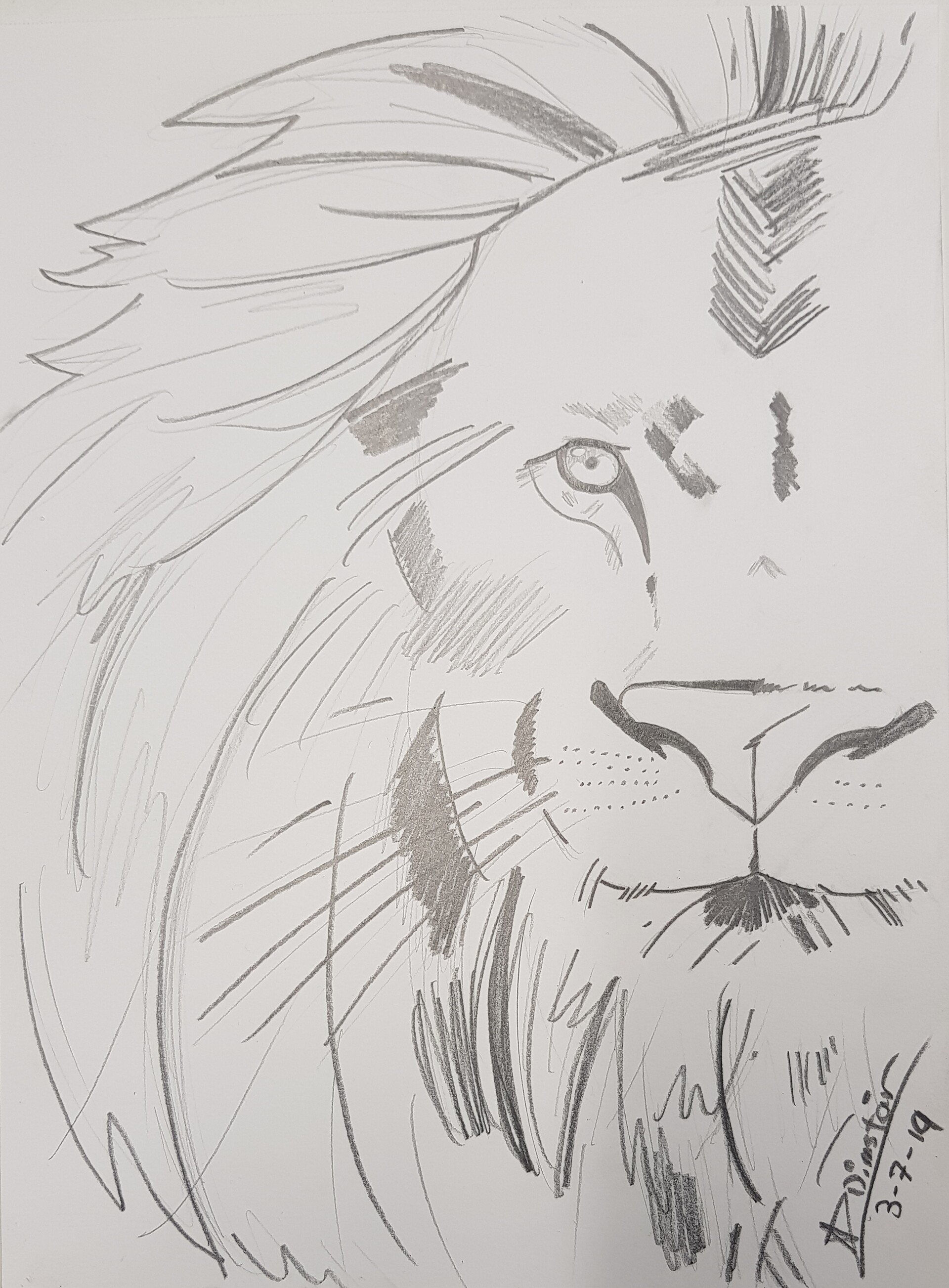 Page 11  Lion Face Drawing Images  Free Download on Freepik