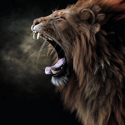 Massimo righi yawncolor