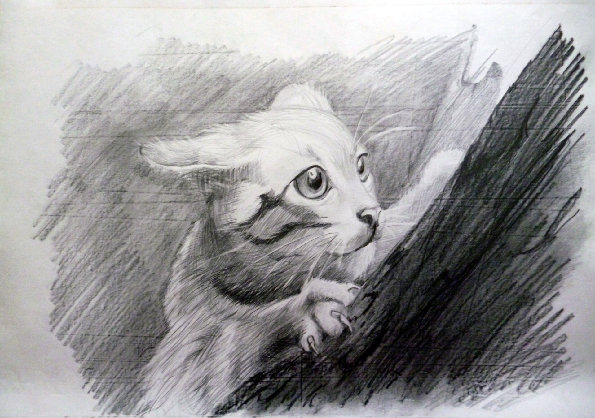 Artstation A Cat In A Tree Pencil Drawing Ninna Ponomareva