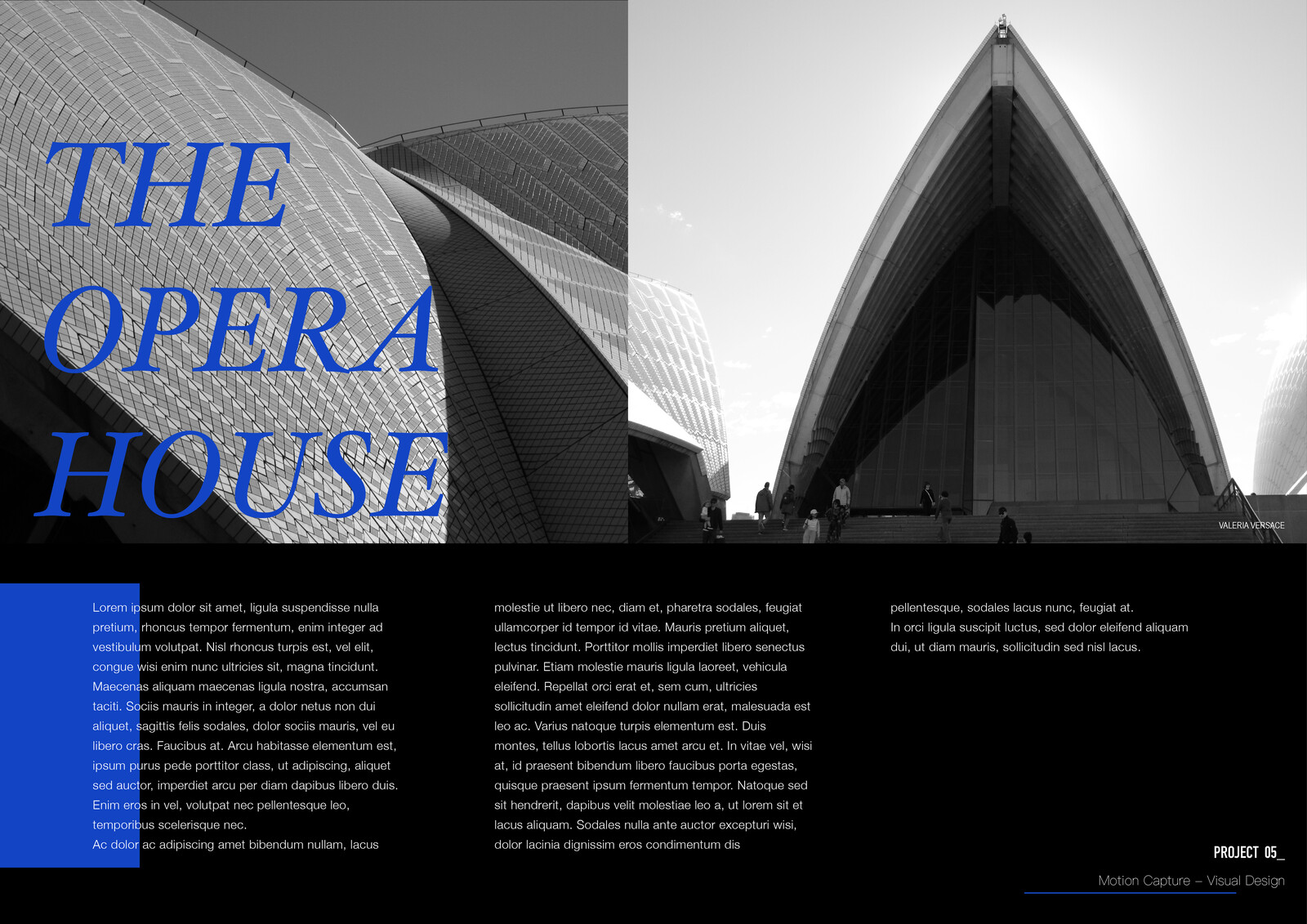 The Blue Opera