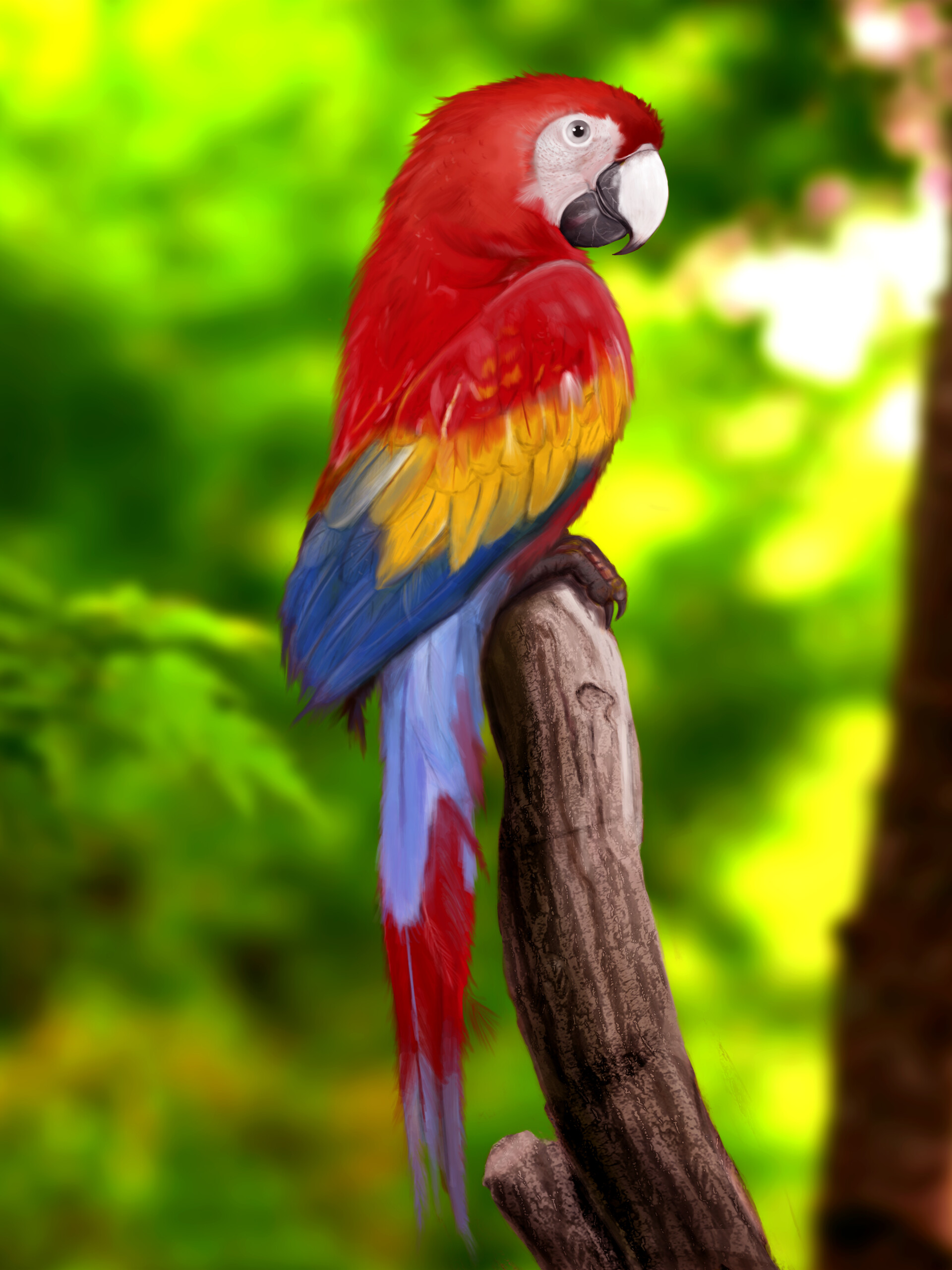 Raman Preet Parrot Digital Painting