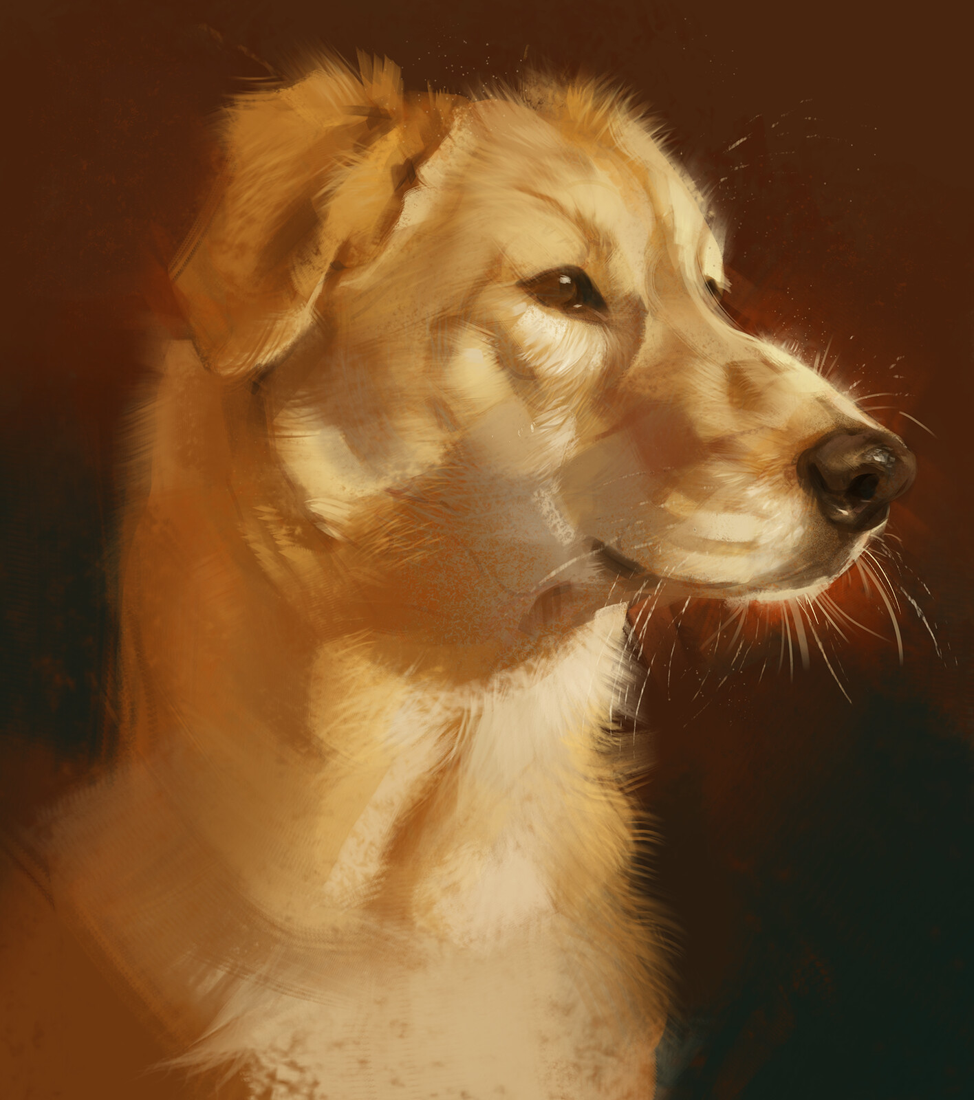 Pet portrait