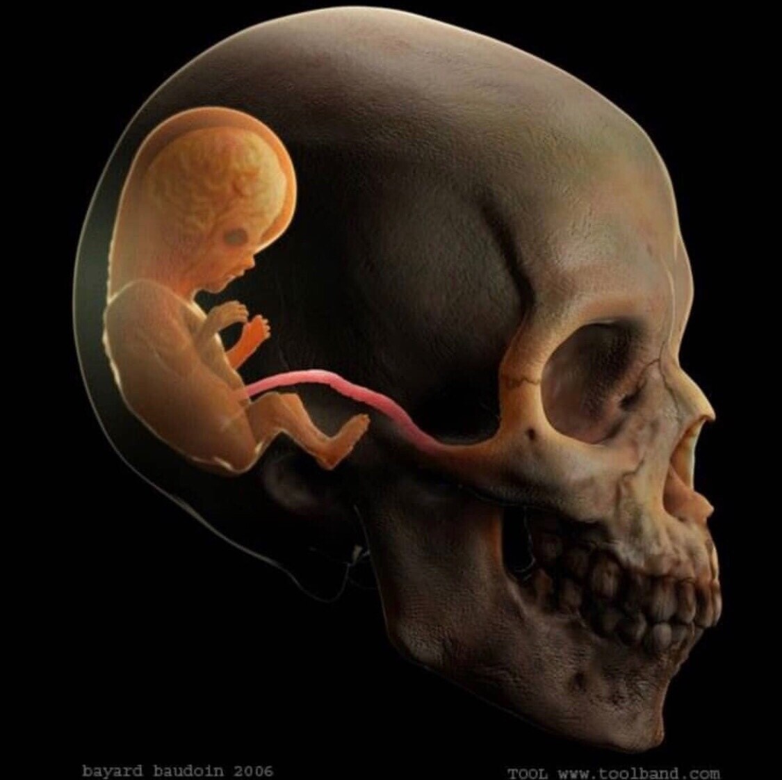 Tool 10000 days album art Tool 10000 days album art