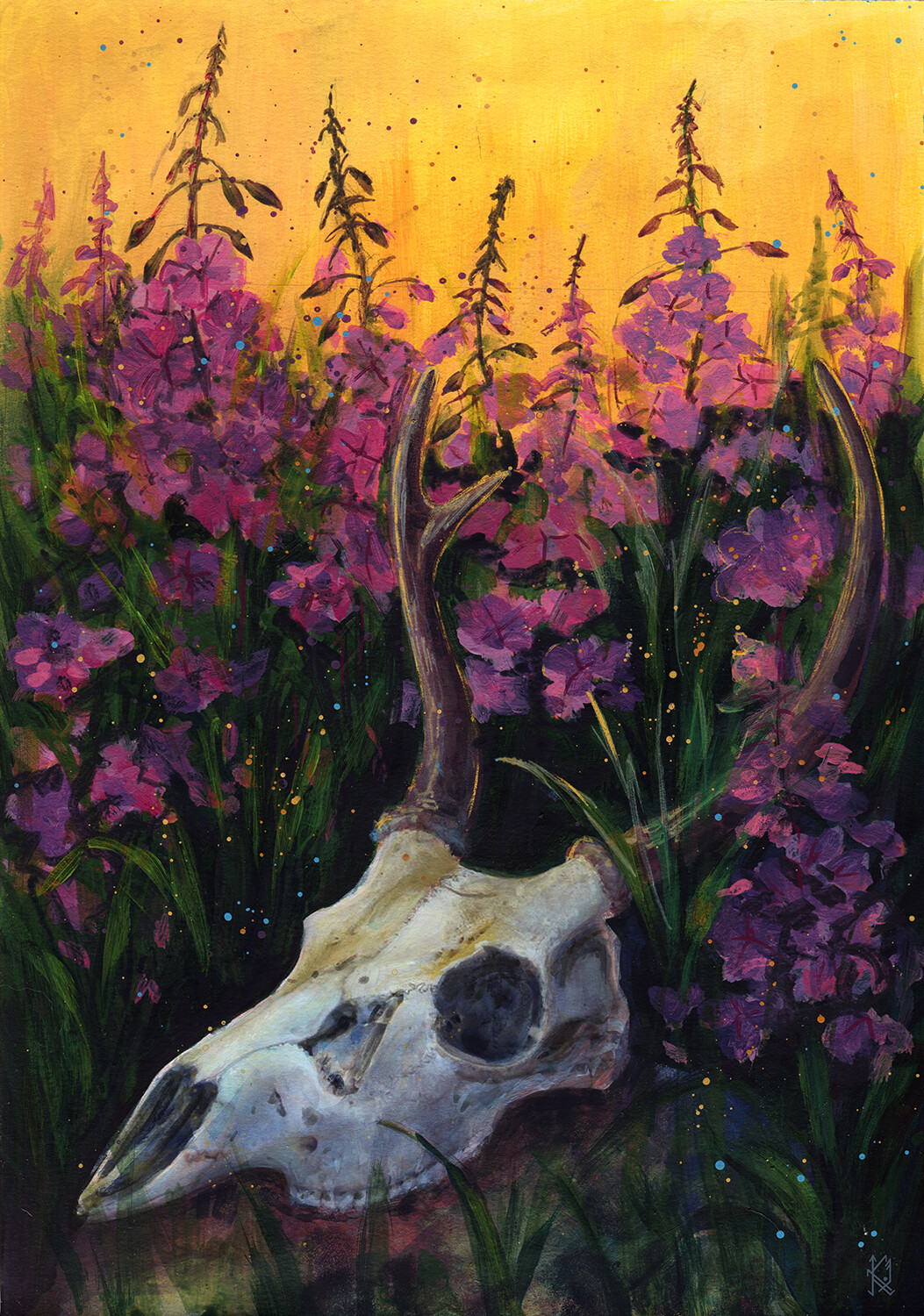 The skull of a deer on a stone in the midst of a blooming field.