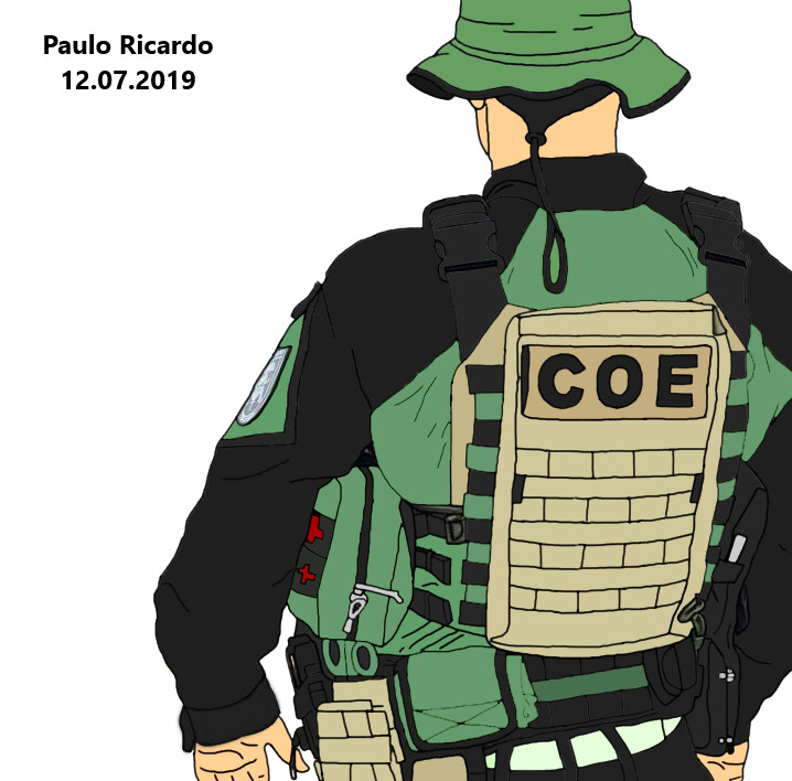 Art Pmce Brasil Pmce Coe
