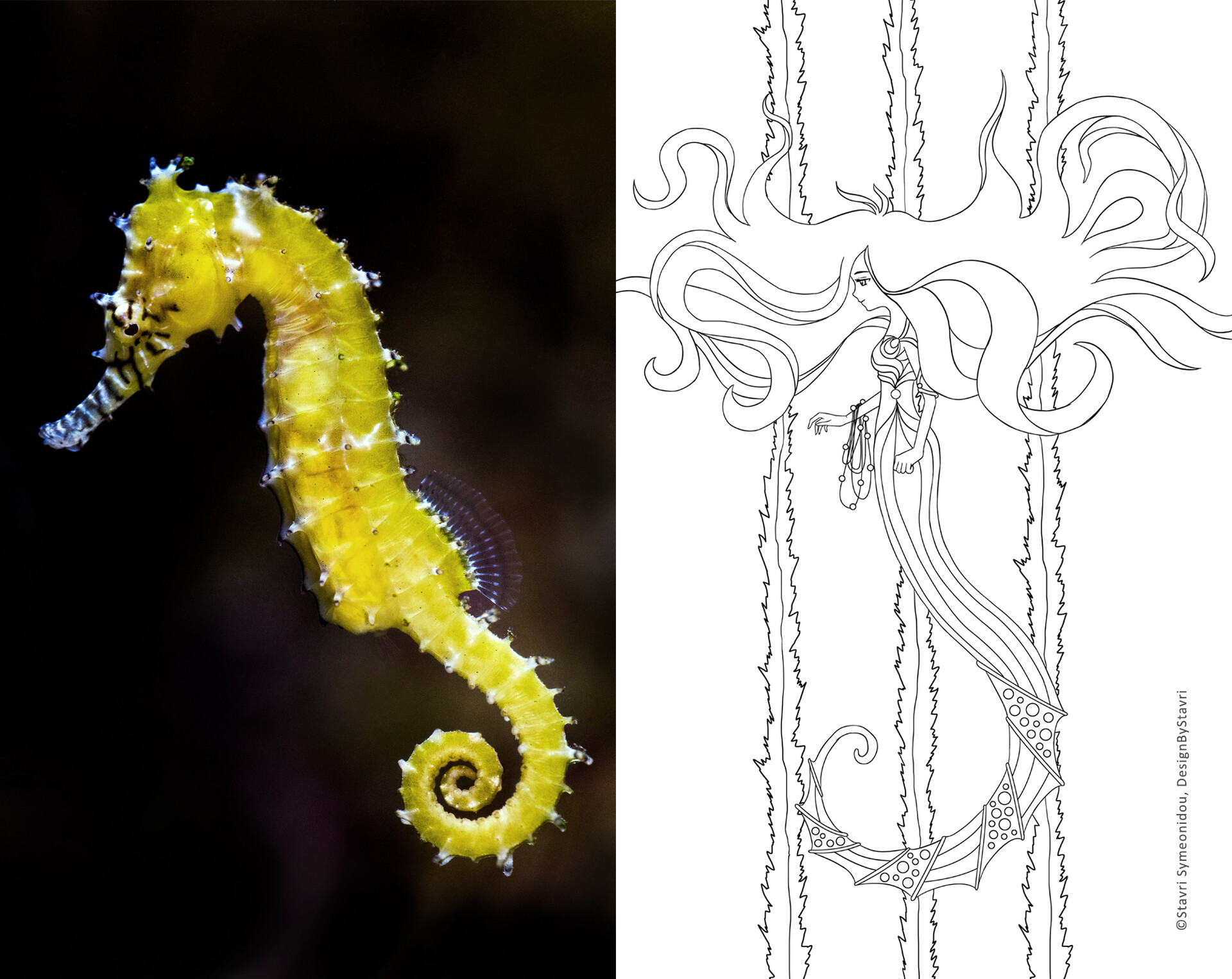 Artstation Custom Anime Mermaid Fish Combination Art Print Commission Stavri Symeonidou