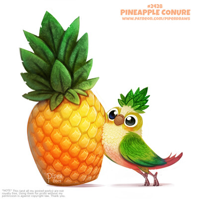 Piper thibodeau dp2428 s