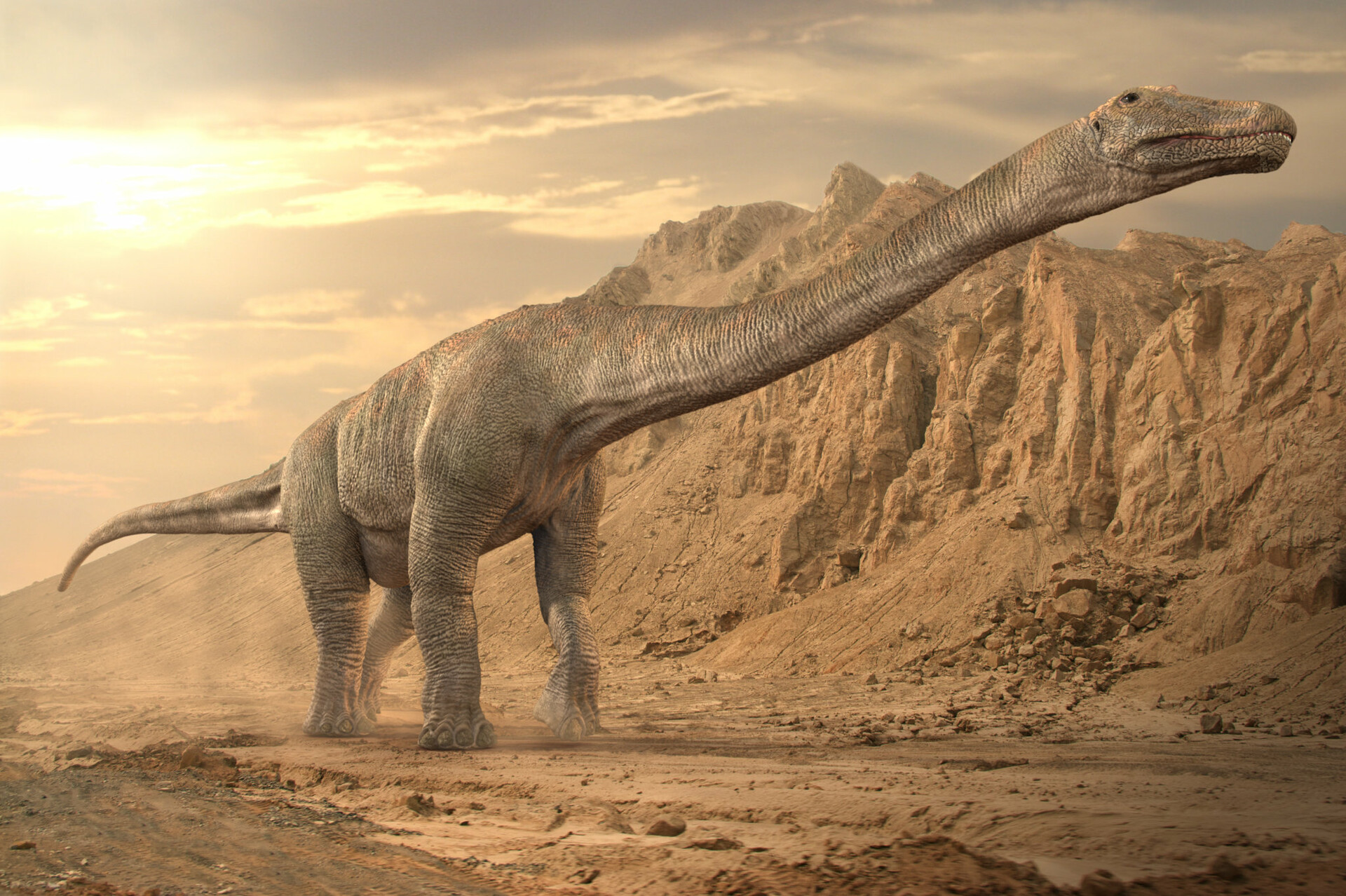 Титанозавр и Аргентинозавр