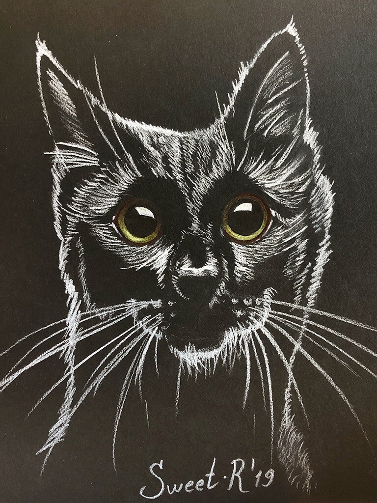 Sweetrabbit Art - Black and white cat