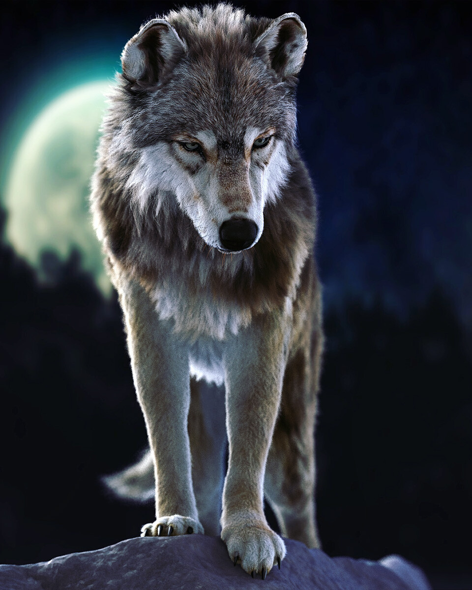 Wolf cliff